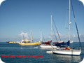 img0113_jan10