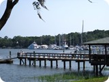 Img_0121
Fat Dash In Savannah Marina