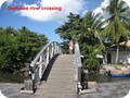 pix1230_45