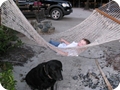 0226_06
A boy and his dog
