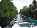 img_1950
Follow the leader in the Dismal Swamp Canal