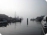 img_2047
Cape May morning fog